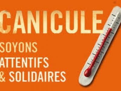 ALERTE CANICULE