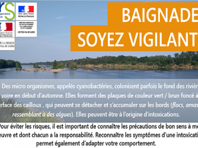 BAIGNADE : SOYEZ VIGILANT !